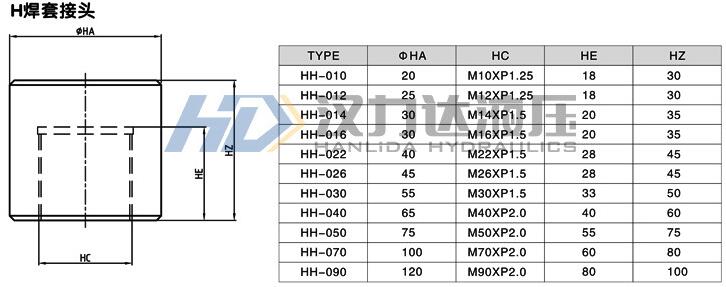 H焊套接頭外形尺寸圖.jpg